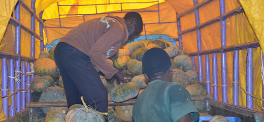 Loading fruits 